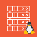 OpenVZ VPS plan